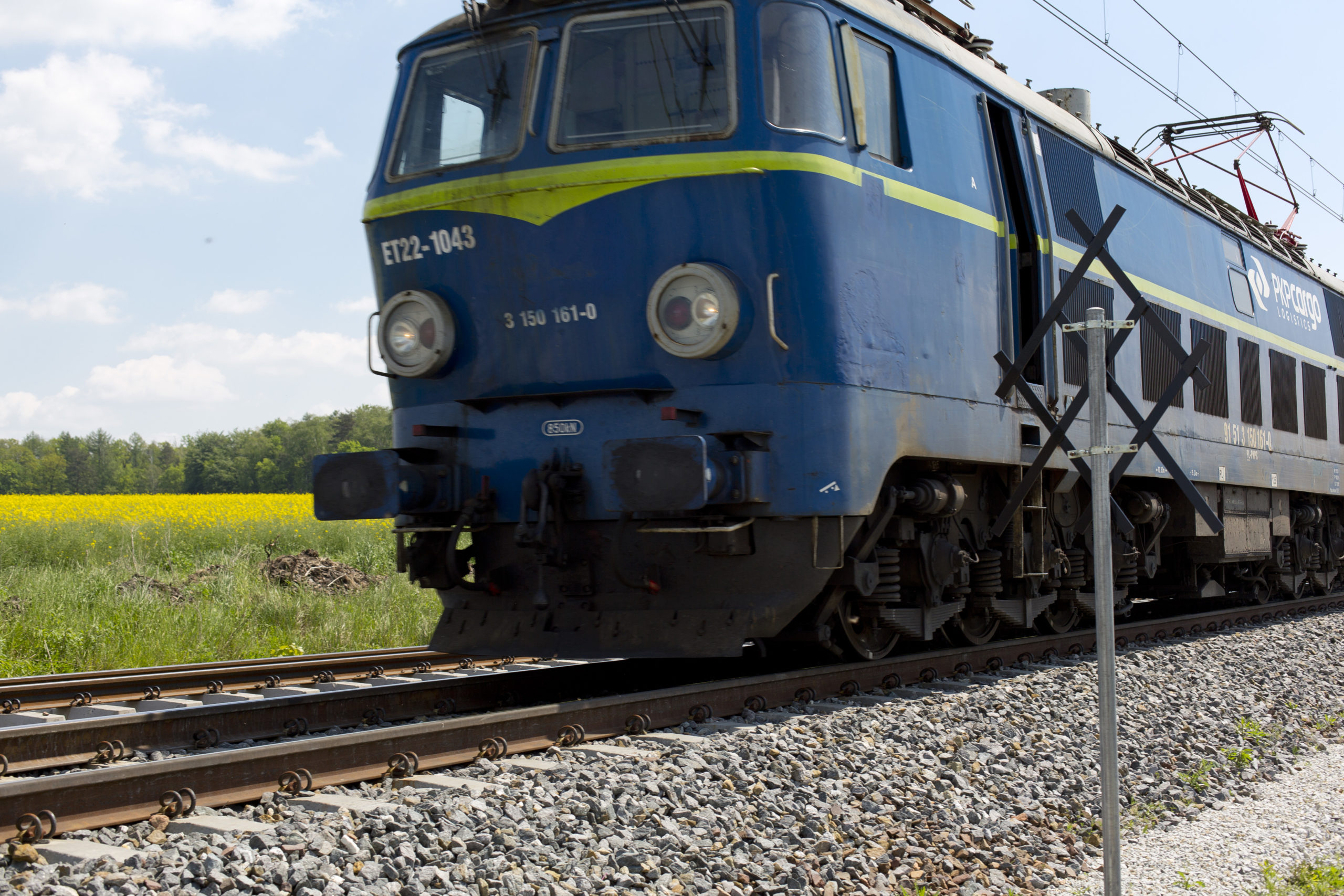 Obrazek: niebieski pociąg w dużym zbliżeniu, w tle letnia łąka.