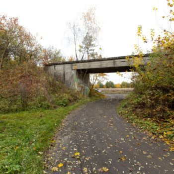 Zdjęcie: wiadukt kolejowo-drogowy nad ulicą Stacyjną w Miasteczku Śląskim.