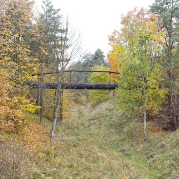 Zdjęcie: widok z wiaduktu na ulicy Śląskie w Miasteczku Śląskim na przyszłe miejsce linii kolejowej.