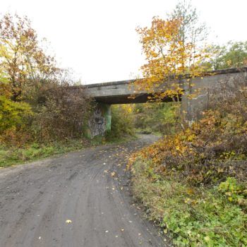 Zdjęcie: wiadukt kolejowo-drogowy nad ulicą Stacyjną w Miasteczku Śląskim.