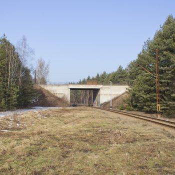 Zdjęcie: wiadukt kolejowo kolejowy po środku lasu.
