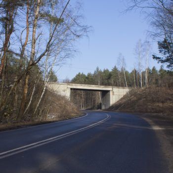 Zdjęcie: widok z oddali na wiadukt kolejowo drogowy. Po obu strochach drogi las.