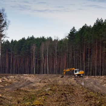 Zdjęcie: widok na pracująca koparkę.