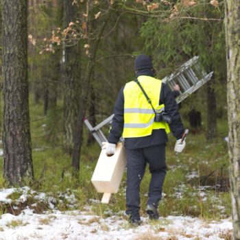 Zdjęcie: ornitolog idzie z budką dla ptaka.